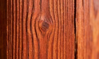 Cedar woodgrain texture