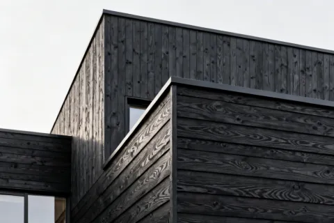 Exterior siding species selection guide