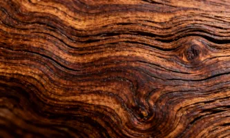 Walnut woodgrain texture